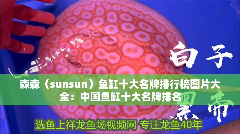 森森（sunsun）魚缸十大名牌排行榜圖片大全：中國魚缸十大名牌排名