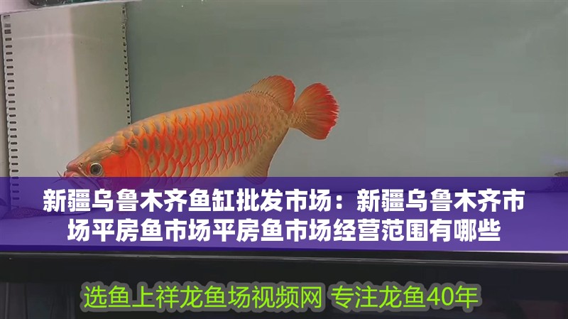 新疆烏魯木齊魚缸批發市場：新疆烏魯木齊市場平房魚市場平房魚市場經營范圍有哪些