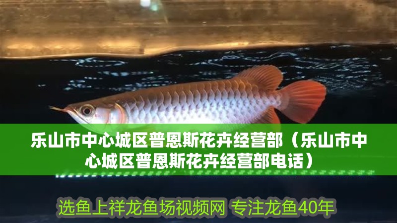 樂山市中心城區普恩斯花卉經營部（樂山市中心城區普恩斯花卉經營部電話）