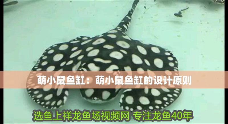 萌小鼠魚缸：萌小鼠魚缸的設(shè)計原則