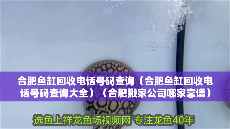 <strong><mark>合肥</mark></strong>魚缸回收電話號碼查詢（<strong><mark>合肥</mark></strong>魚缸回收電話號碼查詢大全）（<strong><mark>合肥</mark></strong>搬家公司哪家靠譜）