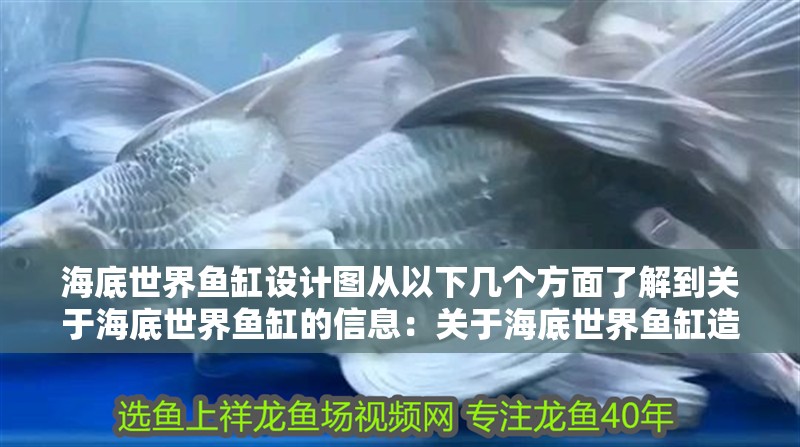 海底世界魚缸設計圖從以下幾個方面了解到關于海底世界魚缸的信息：關于海底世界魚缸造景的一些建議