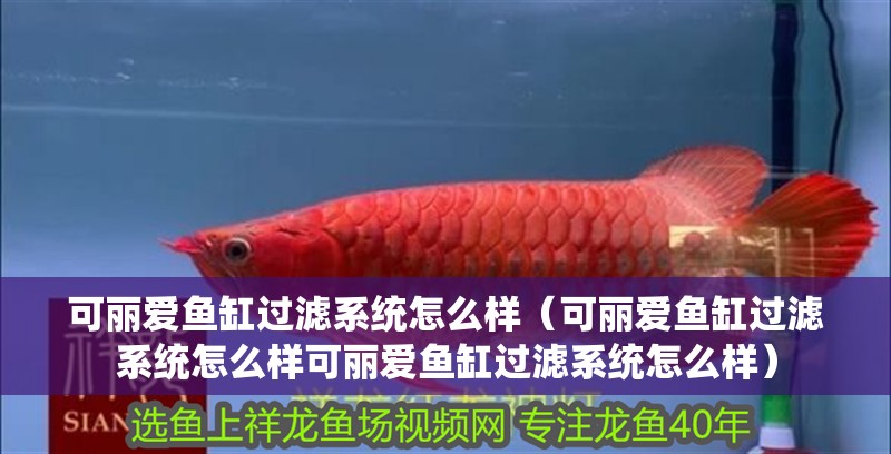 可麗愛魚缸過濾系統怎么樣（可麗愛魚缸過濾系統怎么樣可麗愛魚缸過濾系統怎么樣）