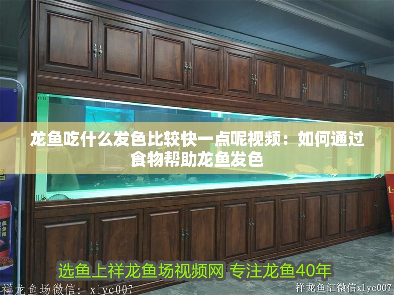 龍魚吃什么發色比較快一點呢視頻：如何通過食物幫助龍魚發色