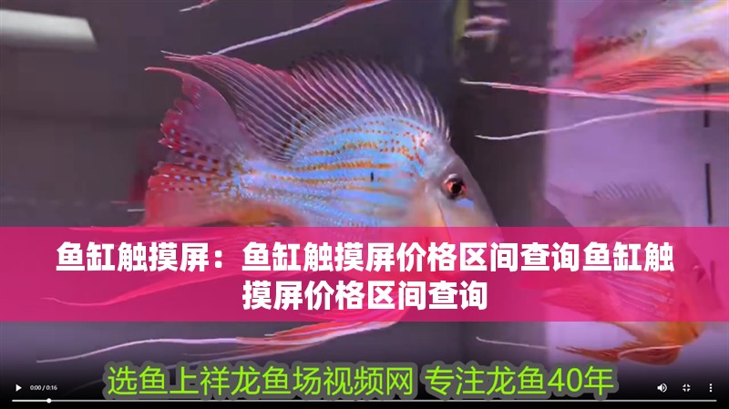 魚缸觸摸屏：魚缸觸摸屏價格區(qū)間查詢魚缸觸摸屏價格區(qū)間查詢
