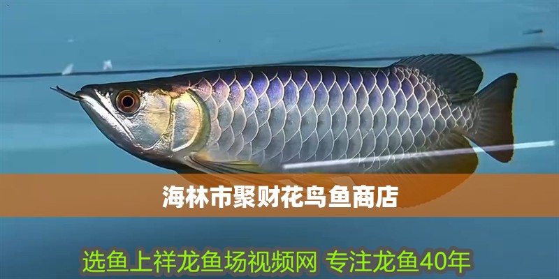 <strong><mark>海林</mark></strong>市聚財花鳥魚商店