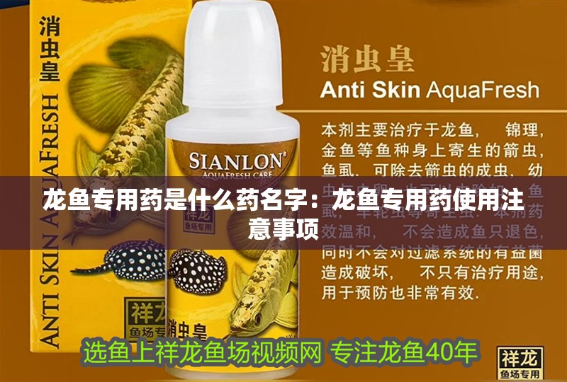 龍魚專用藥是什么藥名字：龍魚專用藥使用注意事項