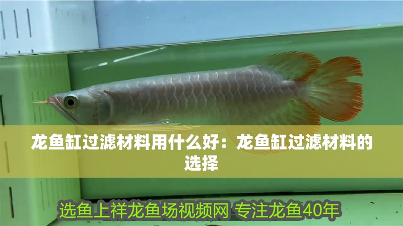 龍魚缸過濾材料用什么好：龍魚缸過濾材料的選擇