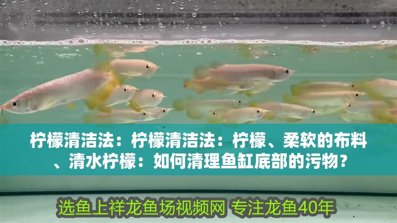 檸檬清潔法：檸檬清潔法：檸檬、柔軟的布料、<strong><mark>清水</mark></strong>檸檬：如何清理魚缸底部的污物？