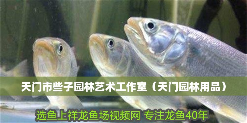 天門市些子園林藝術工作室（天門園林用品）