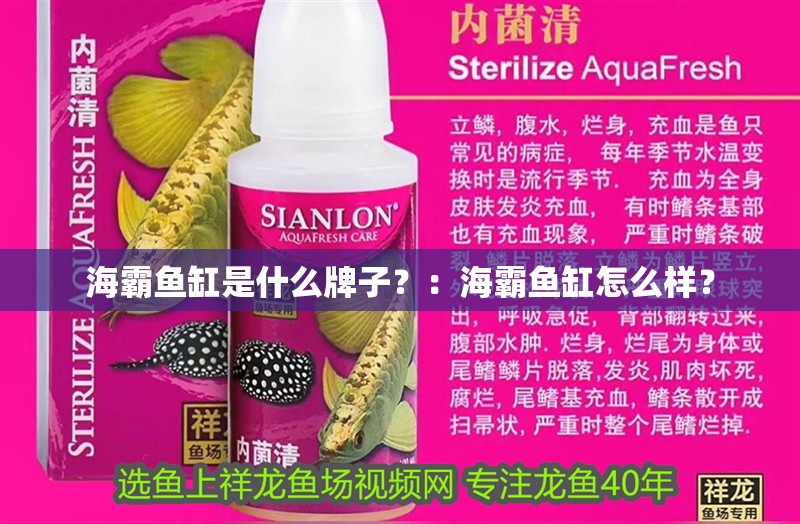 海霸魚缸是什么牌子？：海霸魚缸怎么樣？