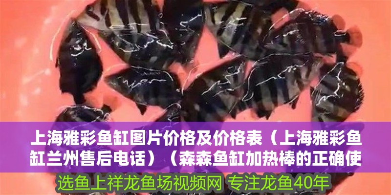 上海雅彩魚缸圖片價格及價格表（上海雅彩魚缸蘭州售后電話）（森森魚缸加熱棒的正確使用方法）