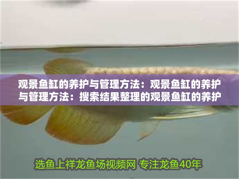 觀景魚缸的養護與管理方法：觀景魚缸的養護與管理方法：搜索結果整理的觀景魚缸的養護與管理方法