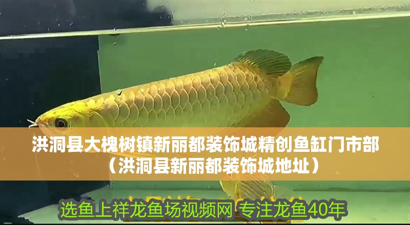 洪洞縣大槐樹鎮新麗都裝飾城精創魚缸門市部（洪洞縣新麗都裝飾城地址）