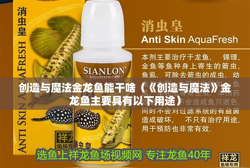 創造與魔法金龍魚能干啥（《創造與魔法》金龍魚主要具有以下用途）