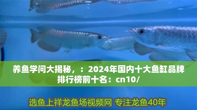 養(yǎng)魚學(xué)問(wèn)大揭秘，：2024年國(guó)內(nèi)十大魚缸品牌排行榜前十名：cn10/ 養(yǎng)魚學(xué)問(wèn)大揭秘，：2024年國(guó)內(nèi)十大魚缸品牌排行榜前十名：cn10/ 魚缸百科