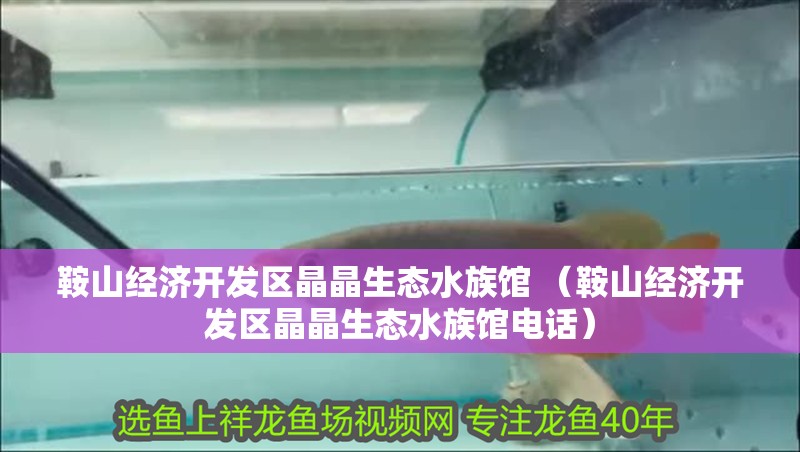 鞍山經濟開發區晶晶生態水族館 （鞍山經濟開發區晶晶生態水族館電話）