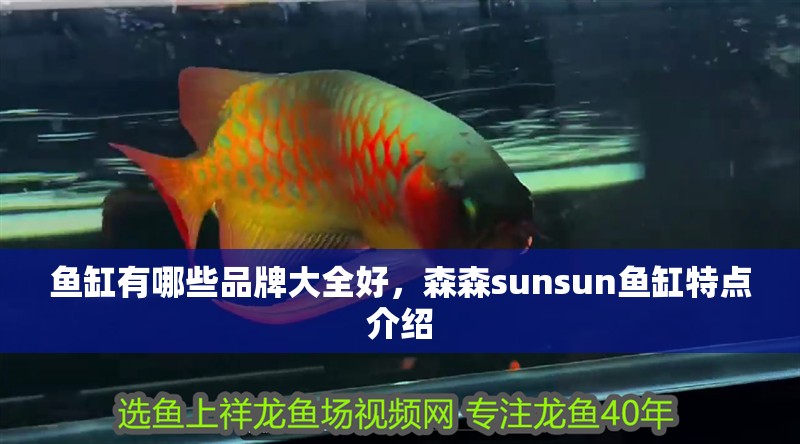 魚缸有哪些品牌大全好，森森sunsun魚缸特點介紹