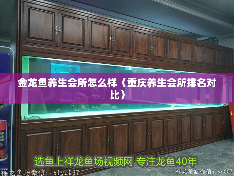 金龍魚養生會所怎么樣（重慶養生會所排名對比）