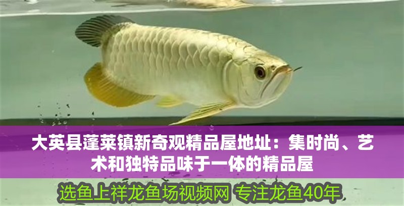 大英縣蓬萊鎮新奇觀精品屋地址：集時尚、藝術和獨特品味于一體的精品屋