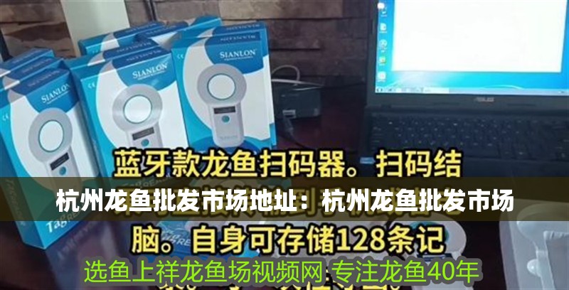 杭州龍魚批發市場地址：杭州龍魚批發市場