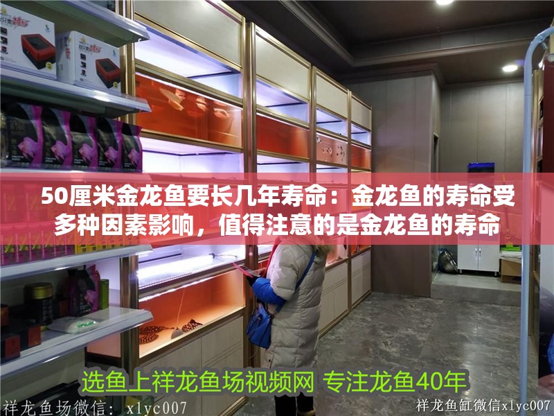 50厘米金龍魚要長幾年壽命：金龍魚的壽命受多種因素影響，值得注意的是金龍魚的壽命