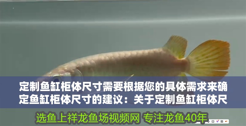 定制魚缸柜體尺寸需要根據您的具體需求來確定魚缸柜體尺寸的建議：關于定制魚缸柜體尺寸的建議