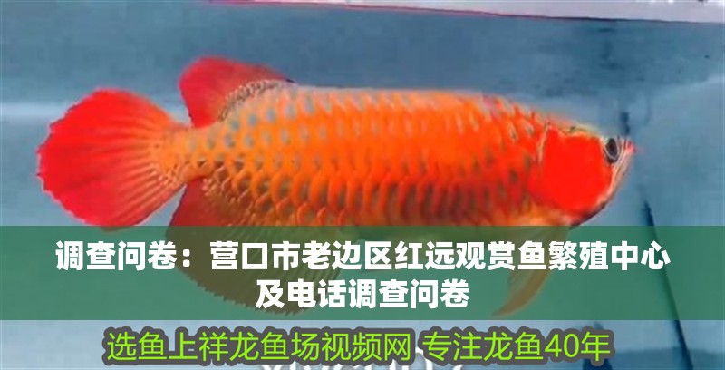 調查問卷：營口市老邊區紅遠觀賞魚繁殖中心及電話調查問卷