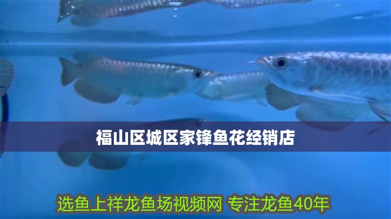 福山區城區家鋒魚花經銷店