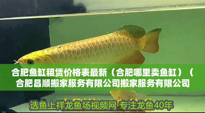 <strong><mark>合肥</mark></strong>魚缸租賃價格表最新（<strong><mark>合肥</mark></strong>哪里賣魚缸）（<strong><mark>合肥</mark></strong>昌順搬家服務有限公司搬家服務有限公司<strong><mark>合肥</mark></strong>安順搬家）