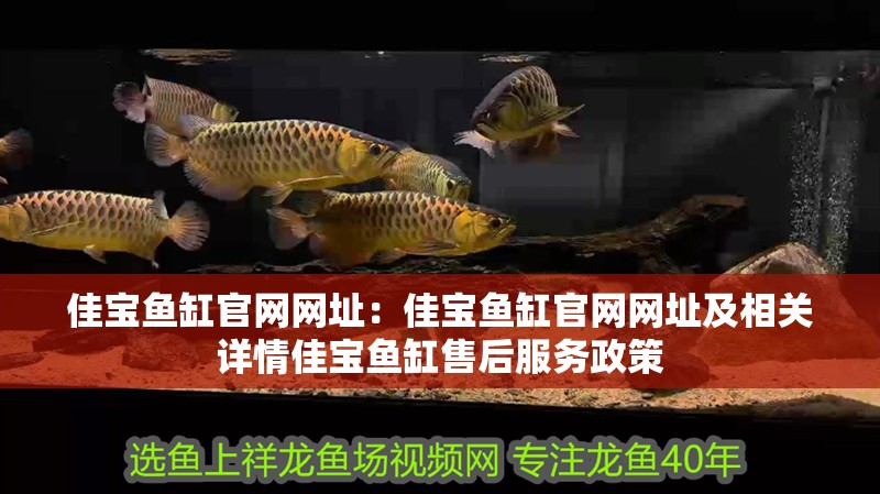 佳寶魚缸官網網址：佳寶魚缸官網網址及相關詳情佳寶魚缸售后服務政策