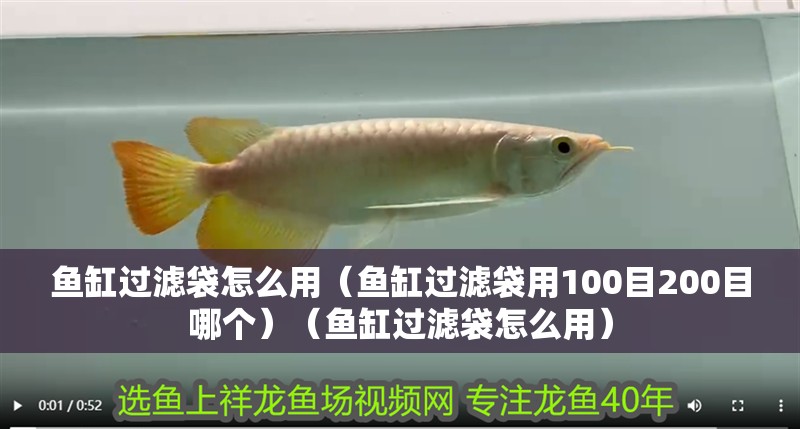 魚缸過濾袋怎么用（魚缸過濾袋用100目200目哪個）（魚缸過濾袋怎么用）