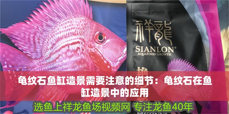 龜紋石魚缸造景需要注意的細節(jié)：龜紋石在魚缸造景中的應用