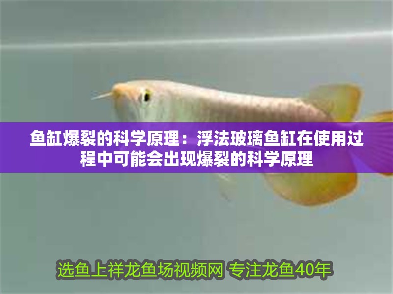 魚缸爆裂的科學原理：浮法玻璃魚缸在使用過程中可能會出現爆裂的科學原理