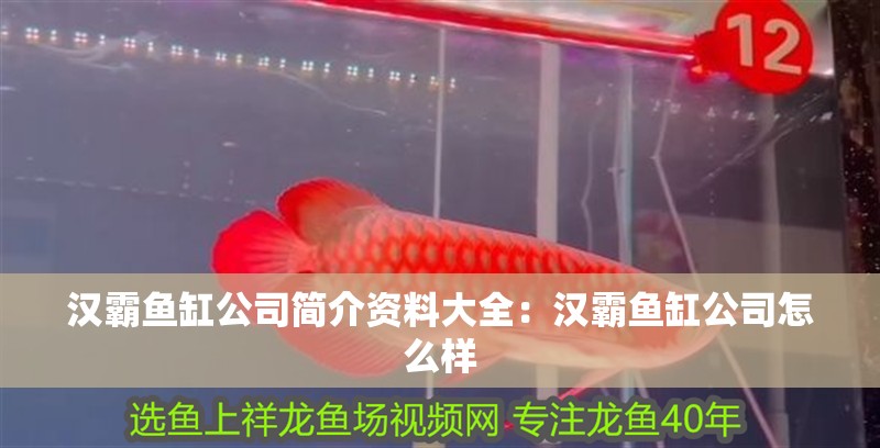 漢霸魚缸公司簡介資料大全：漢霸魚缸公司怎么樣