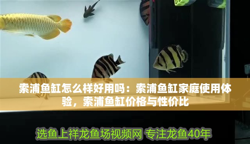 索浦魚缸怎么樣好用嗎：索浦魚缸家庭使用體驗，索浦魚缸價格與性價比