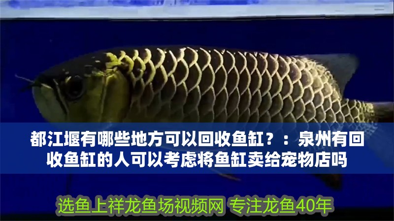 都江堰有哪些地方可以回收魚缸？：泉州有回收魚缸的人可以考慮將魚缸賣給寵物店嗎