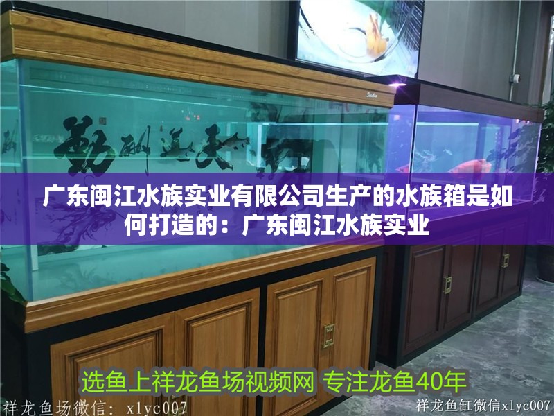 廣東閩江水族實業(yè)有限公司生產的水族箱是如何打造的：廣東閩江水族實業(yè)