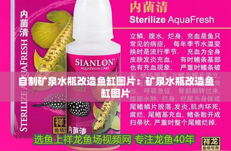 自制礦泉水瓶改造魚缸圖片：礦泉水瓶改造魚缸圖片 自制礦泉水瓶改造魚缸圖片：礦泉水瓶改造魚缸圖片 魚缸百科