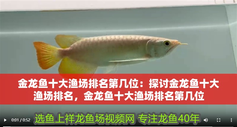 金龍魚十大漁場排名第幾位：探討金龍魚十大漁場排名，金龍魚十大漁場排名第幾位