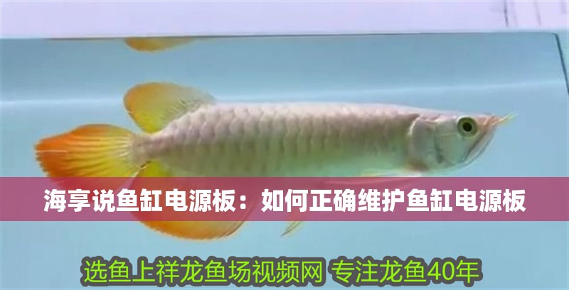 海享說魚缸電源板：如何正確維護魚缸電源板
