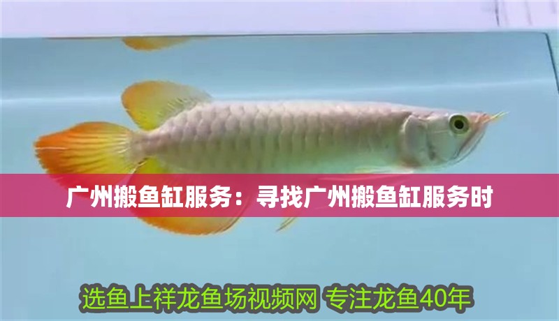 廣州搬魚缸服務(wù)：尋找廣州搬魚缸服務(wù)時(shí)