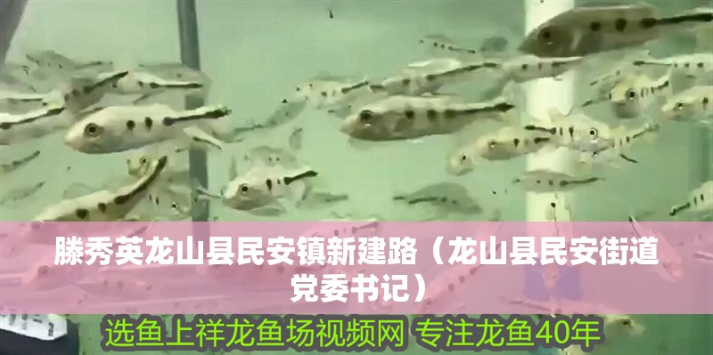 滕秀英龍山縣民安鎮新建路（龍山縣民安街道黨委書記）