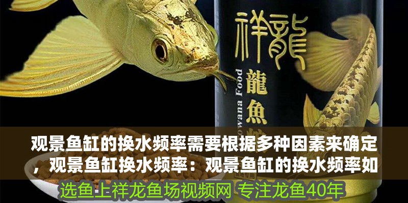 觀景魚缸的換水頻率需要根據(jù)多種因素來確定，觀景魚缸換水頻率：觀景魚缸的換水頻率如何確定