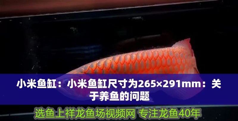 小米魚缸：小米魚缸尺寸為265×291mm：關于養魚的問題