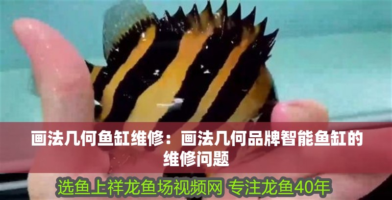 畫法幾何魚缸維修：畫法幾何品牌智能魚缸的維修問題