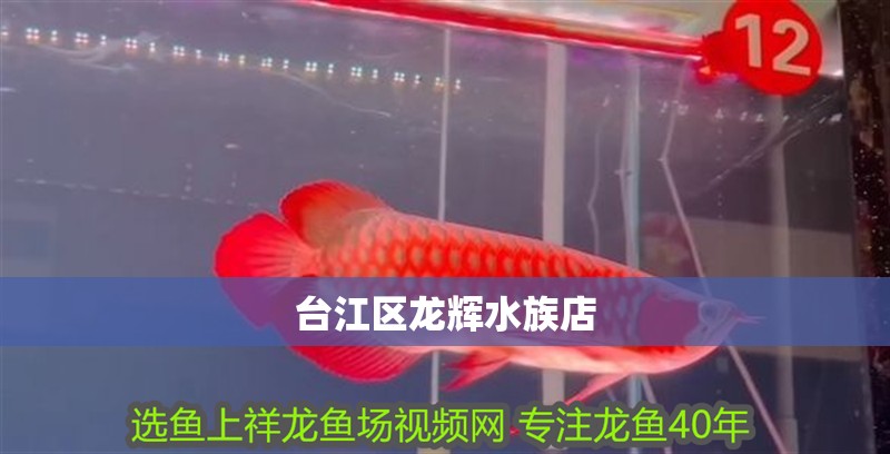 臺江區龍輝水族店