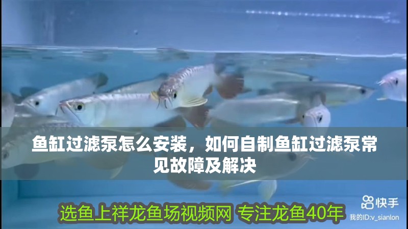 魚缸過濾泵怎么安裝，如何自制魚缸過濾泵常見故障及解決