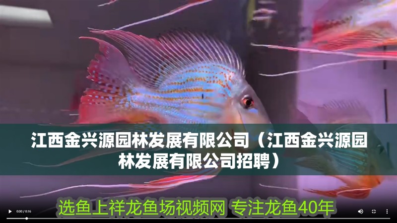 江西金興源園林發展有限公司（江西金興源園林發展有限公司招聘）