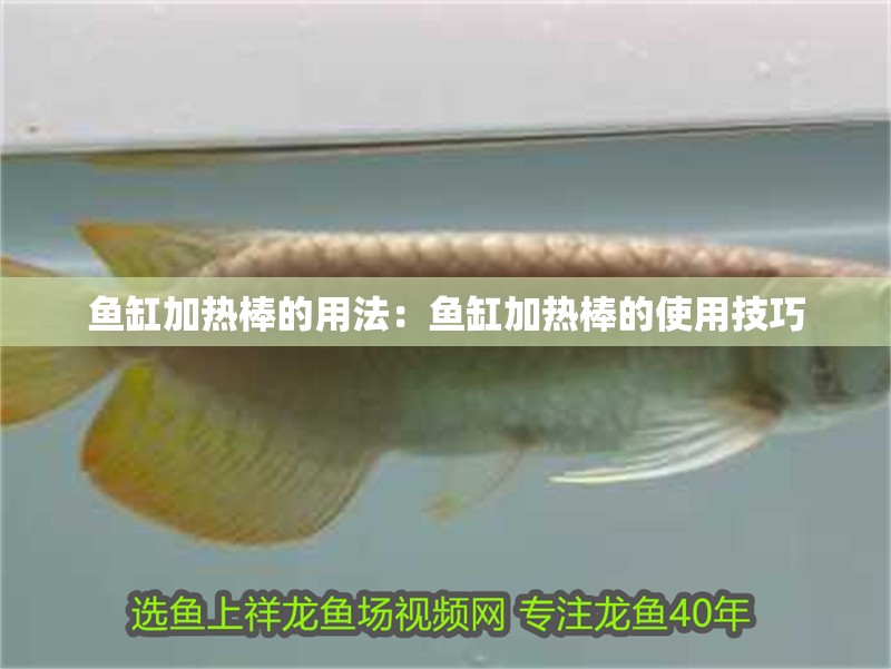 魚缸加熱棒的用法：魚缸加熱棒的使用技巧